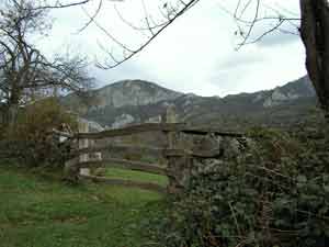 mhtml:file://C:\Users\santosygema\Documents\PARA%20LA%20WEB%20SAN%20BLAS\Desde%20Collanzo%20a%20Llanos.mht!http://www.telecable.es/empresas/caminandoporasturias/images/s06vista3.jpg